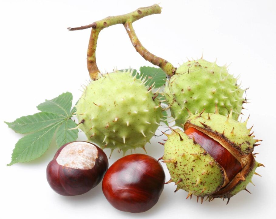 Chestnut peel for the treatment of prostatitis