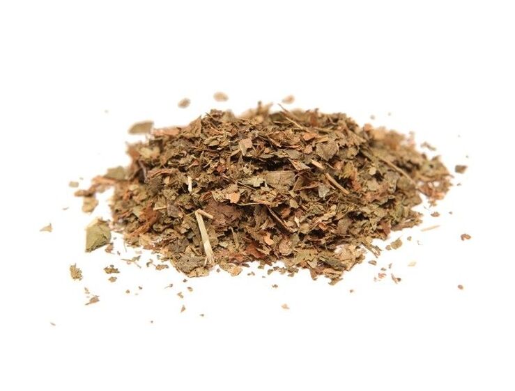 Hazelnut bark for the treatment of prostatitis